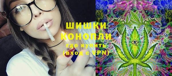 шишки Алексин