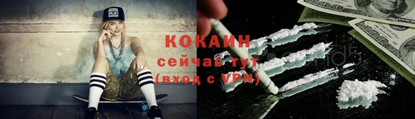шишки Алексин